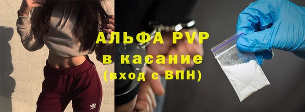 гашик Корсаков
