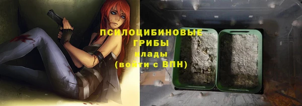 гашик Корсаков
