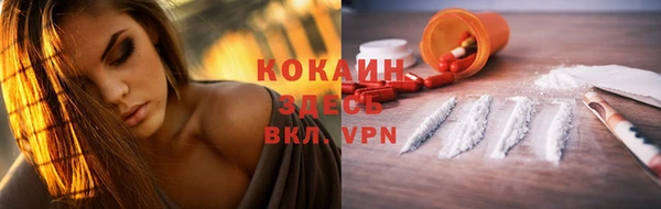 гашик Корсаков