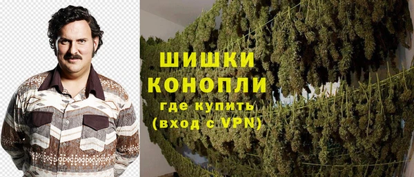 гашик Корсаков