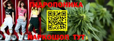 прущие крисы Конаково