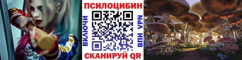 Псилоцибиновые грибы прущие грибы  Хасавюрт 
