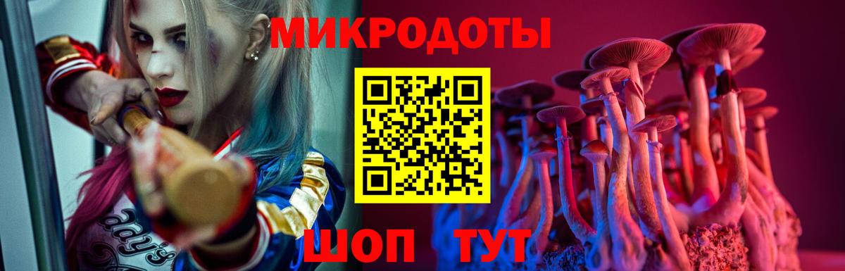Хасавюрт  Галлюциногенные грибы мухоморы  Псилоцибиновые грибы Psilocybe  Вход с VPN 