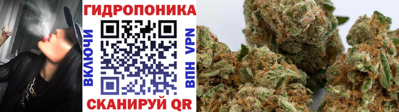 Каннабис индика Хасавюрт